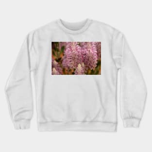 Mulla Mulla Flowers in the Mallee at Mungo Crewneck Sweatshirt